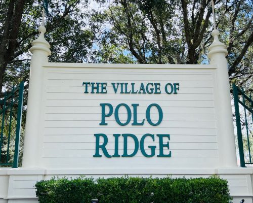 D3 Polo Ridge